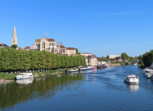 Naturopathe Saint-Étienne